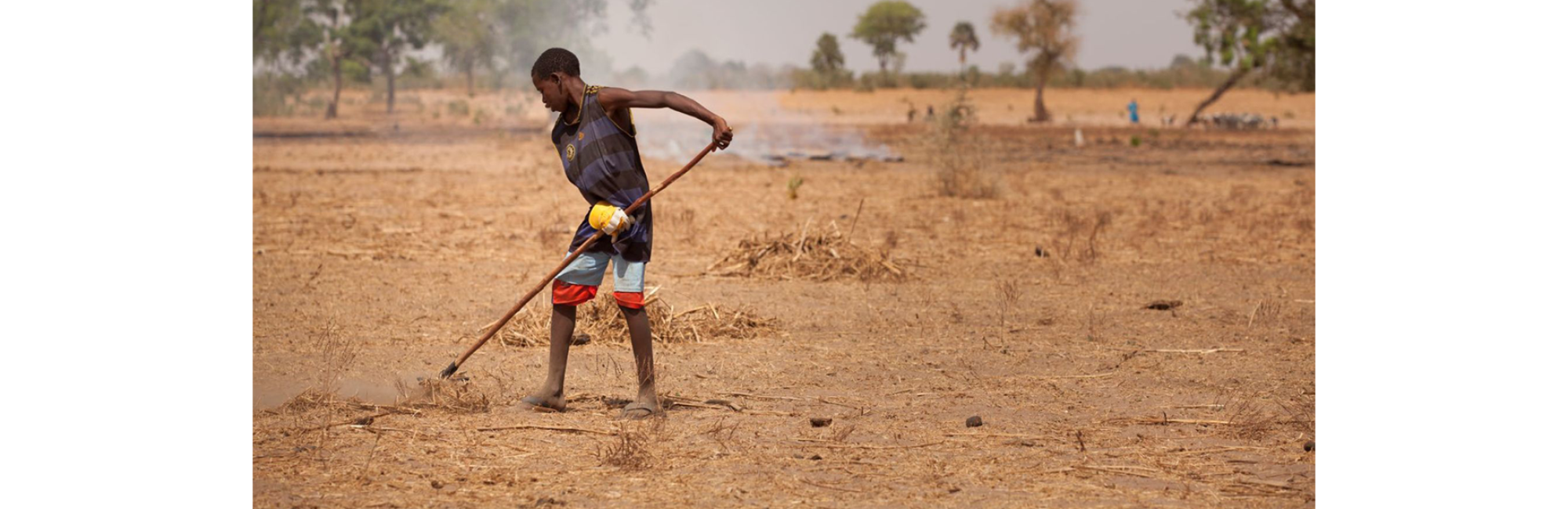 Land Degradation and Conflict: Case studies from Sudan, Jordan and Niger