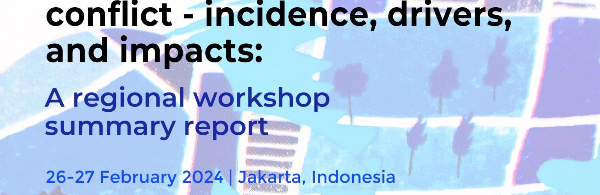 Monitoring of lands under conflict–incidence, drivers, and impacts: A regional workshop summary report