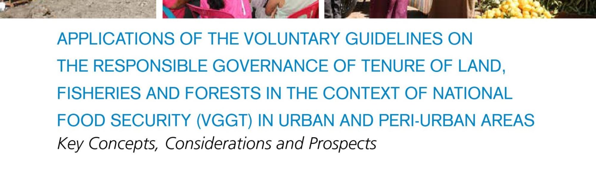 Applications of the Voluntary Guidelines on the Responsible Governance of Tenure of Land, Fisheries and Forests in the Context of National Food Security (VGGT) in Urban and Peri-Urban Areas