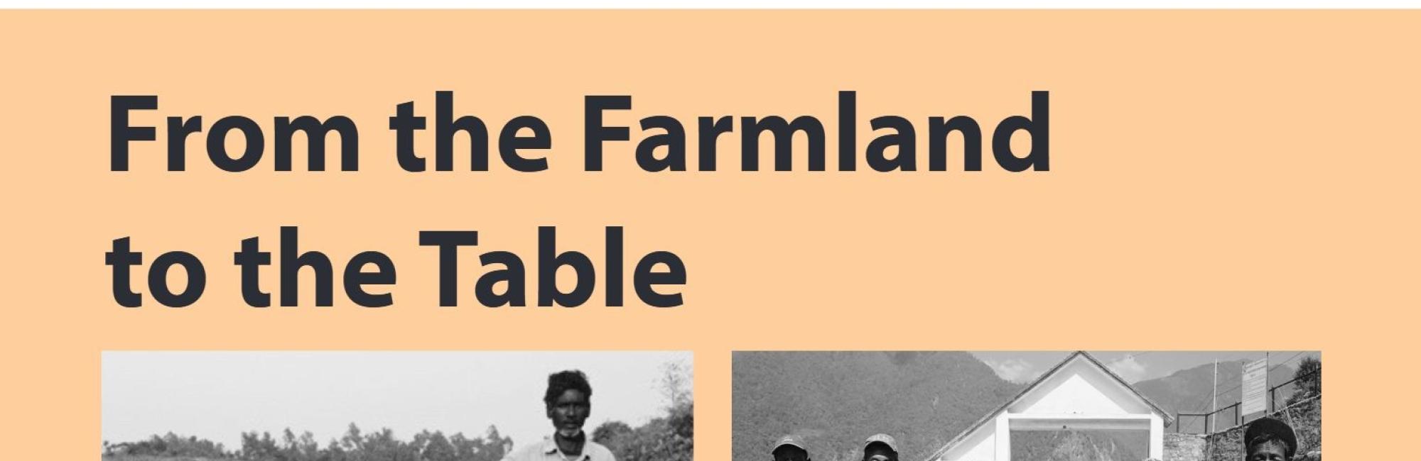 From the Farmland to the Table: Exploring the Links Between Tenure and Food Security