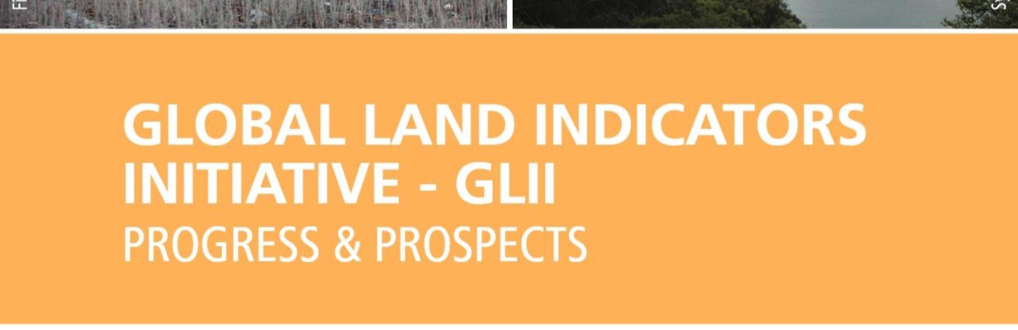 Global Land Indicators Initiative (GLII): Progress and Prospects