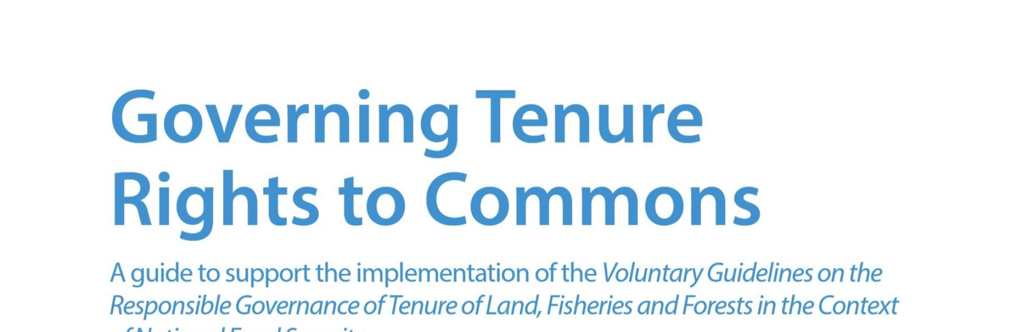Governing Tenure Rights to Commons: A Guide