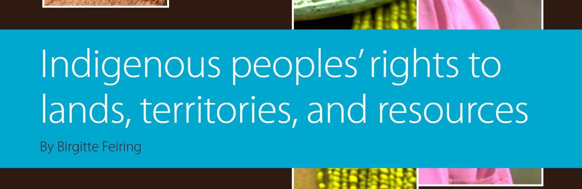 Indigenous Peoples’ Rights to Lands, Territories, and Resources