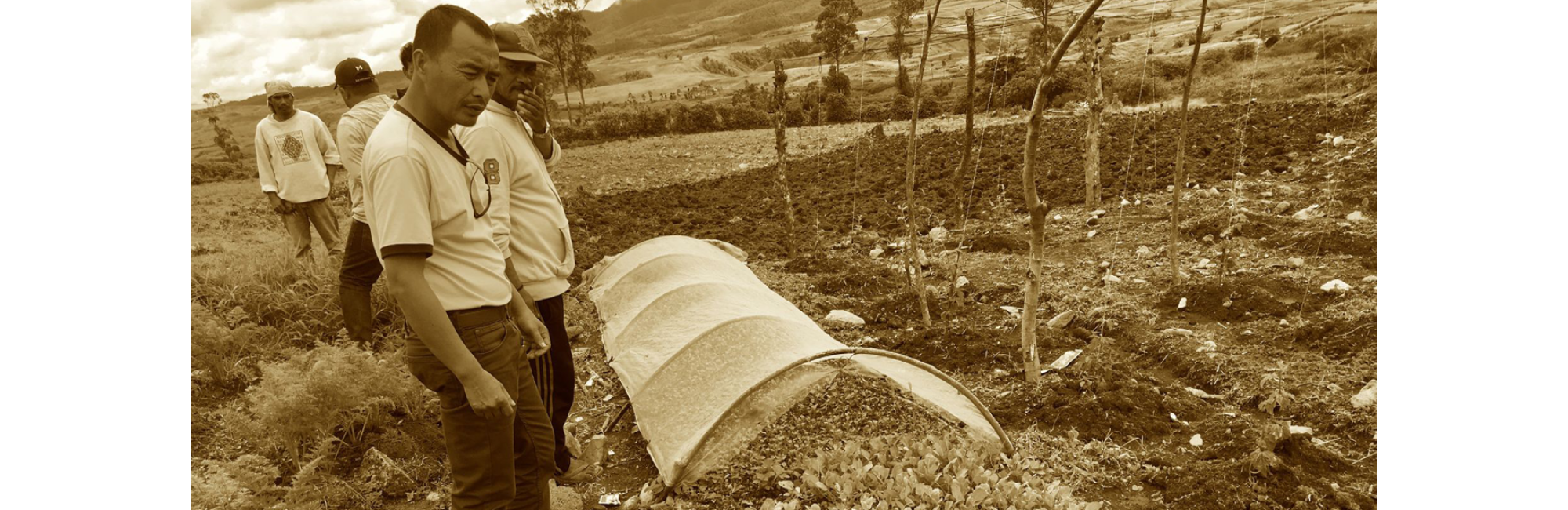 Land and Resource Conflicts in the Philippines