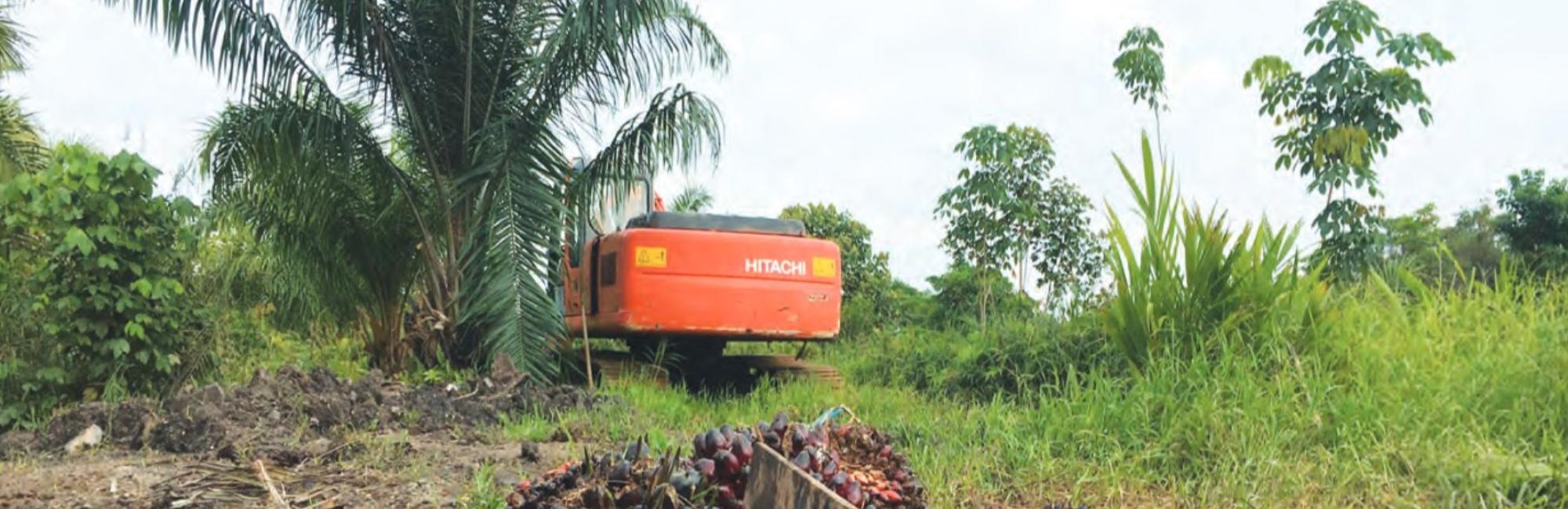 Midcourse Manoeuvres: Community Strategies and Remedies for Natural Resource Conflicts in India, Indonesia and Myanmar