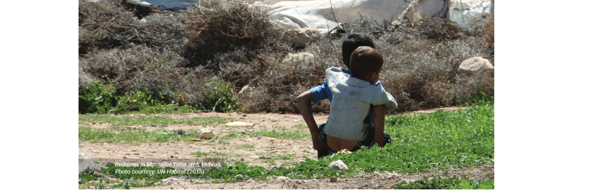 Policy framework to foster tenure security and resilience for Bedouin communities in Area C of the West Bank, Palestine published