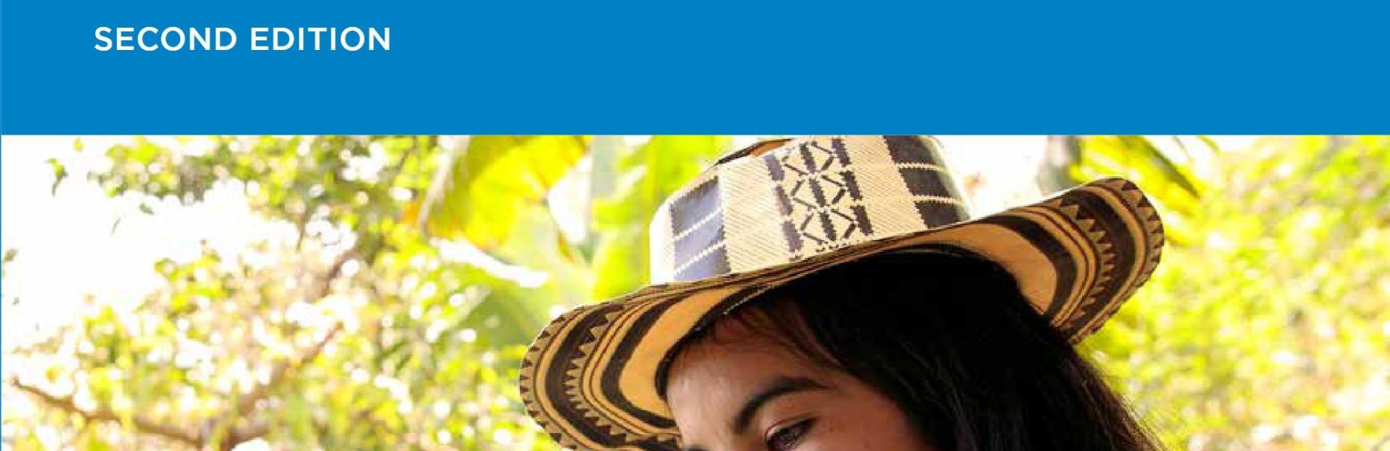Realizing women's rights to land and other productive resources