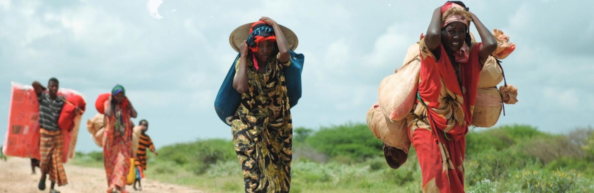 Scoping and Status Study on Land and Conflict