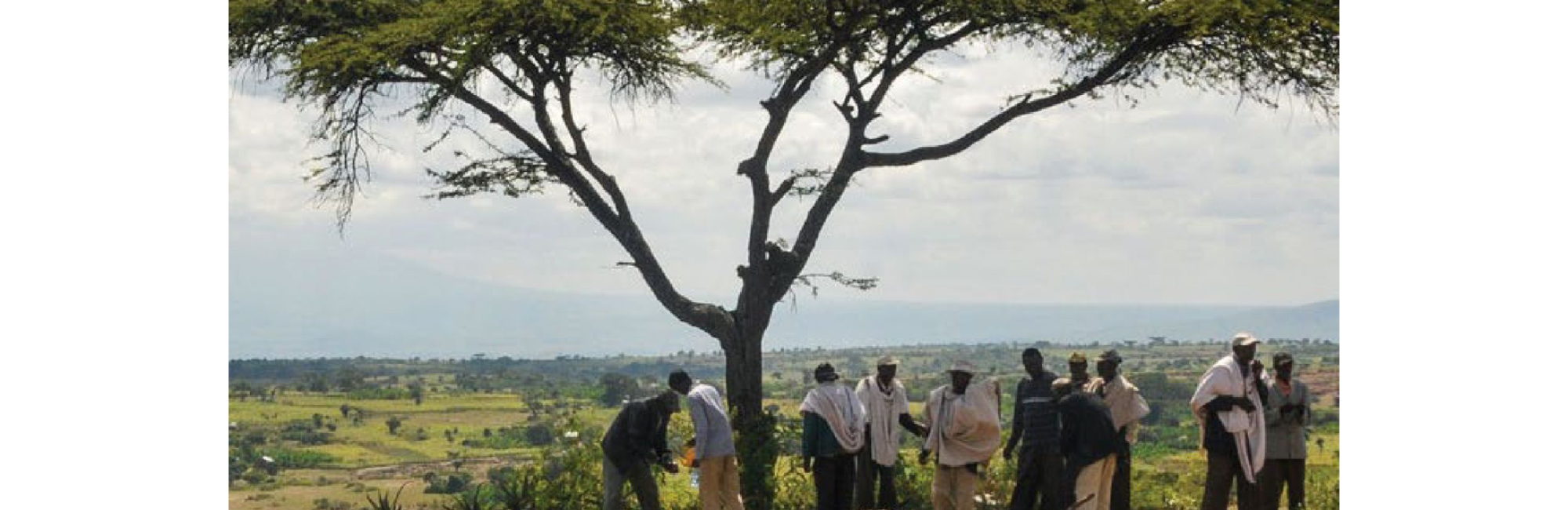 Research on African land policy assessment