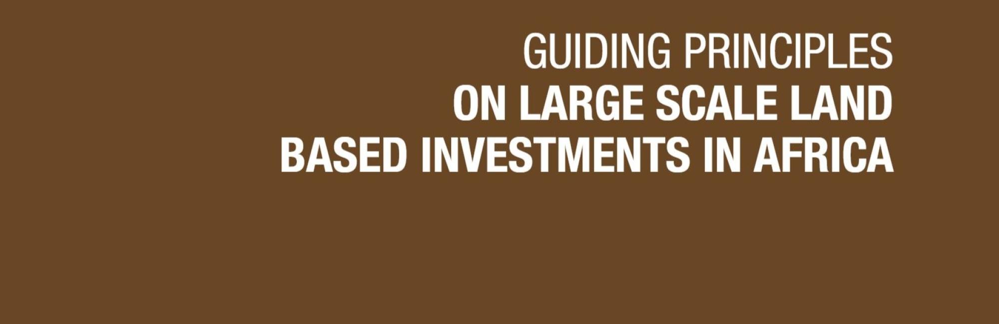 Guiding Principles on Large Scale Land Based Investments in Africa