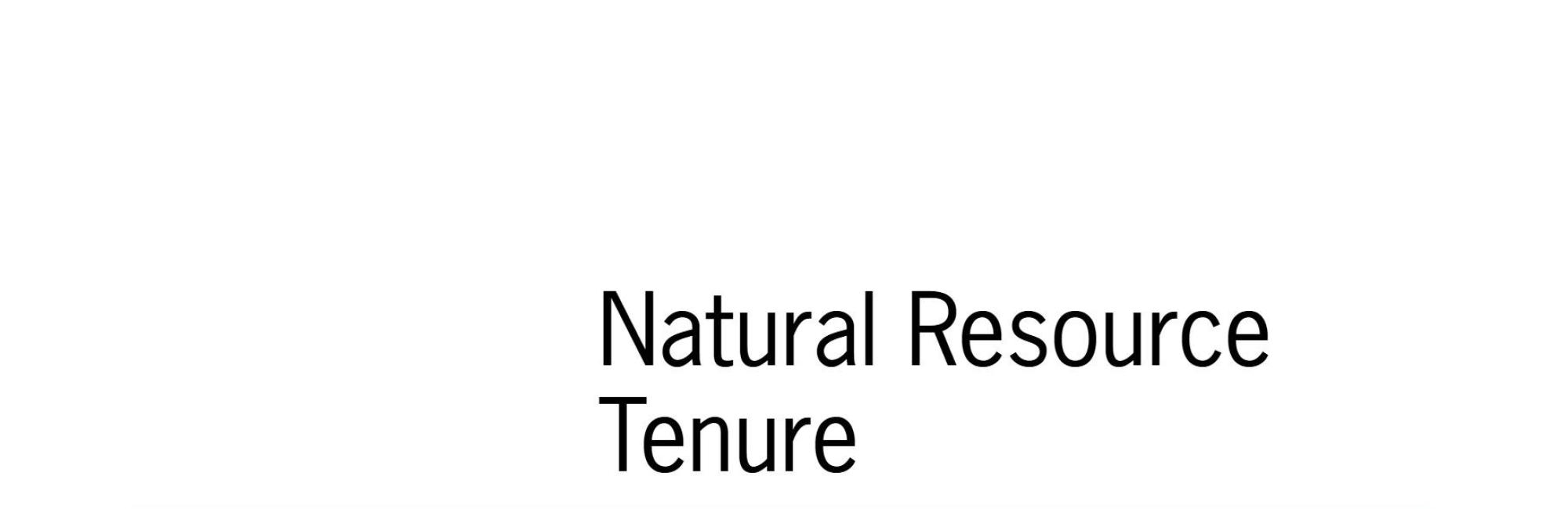 Natural Resource Tenure: A background paper