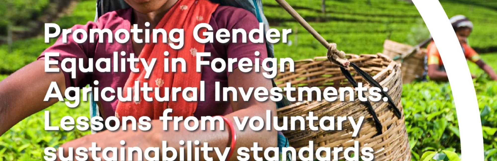 Promoting Gender Equality in Foreign Agricultural Investments: Lessons from voluntary sustainability standards