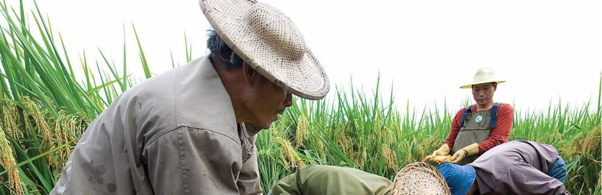 The Sustainable Development Goals Report 2018