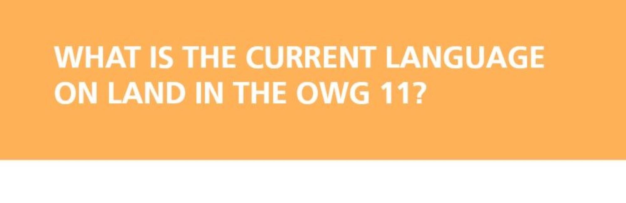 What is the Current Language on Land in the OWG 11?