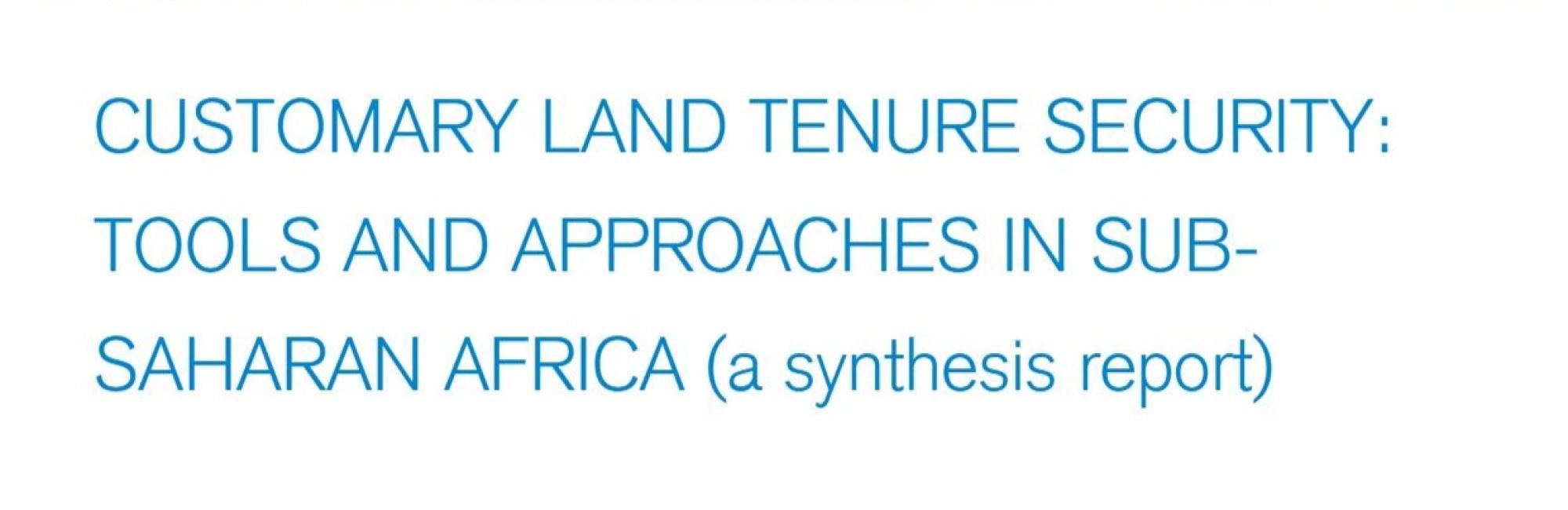 Customary Land Tenure Security: Tools and Approaches in Sub-Saharan Africa (a synthesis report)