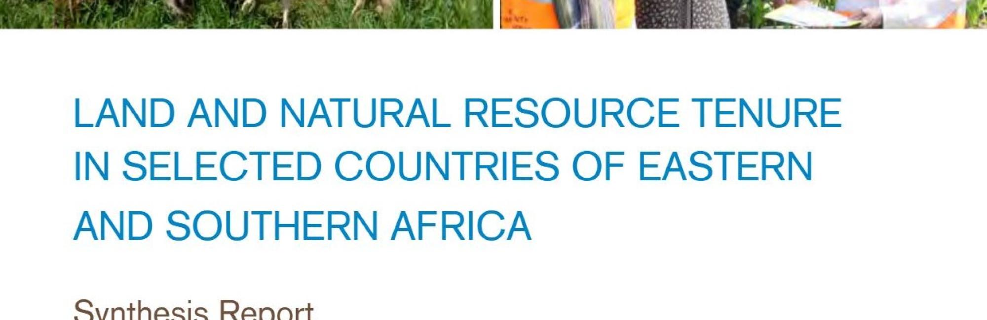 Land and Natural Resource Tenure Security in Selected Countries of Eastern and Southern Africa: Synthesis Report