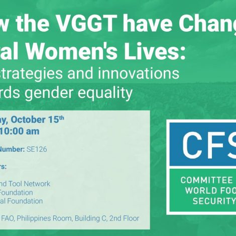 CFS 46 Side Event on Voluntary Guidelines (VGGT)